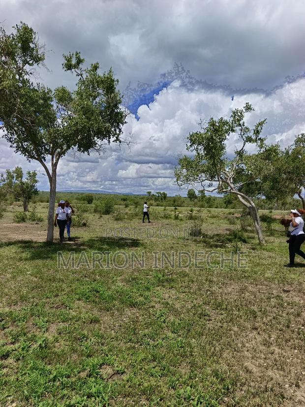 Own Land Affordable Farm Land in Malindi~Chakama