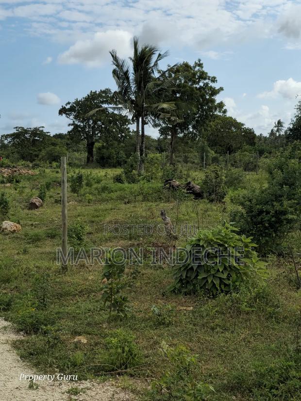 Kilifi Tezo Prime 50by100ft Plots for Sale