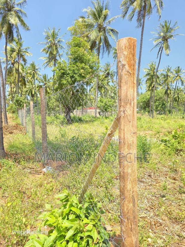 Prime 50by100ft Plots for Sale Located 1km From the Beach