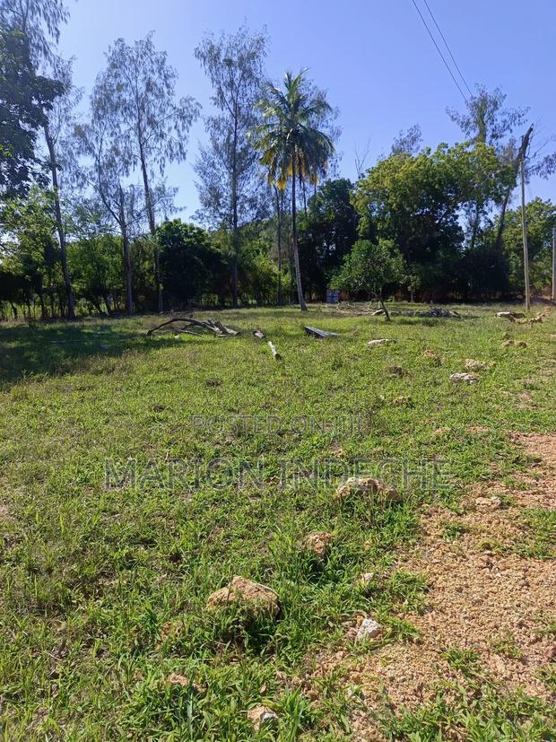 Prime 50*100ft Plots for Sale in Mtwapa