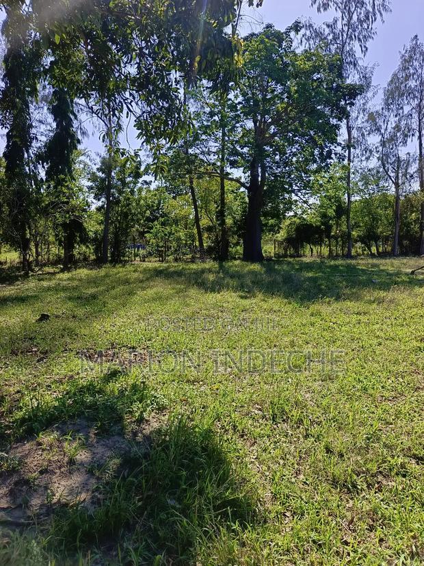 Prime 50*100ft Plots for Sale in Mtwapa