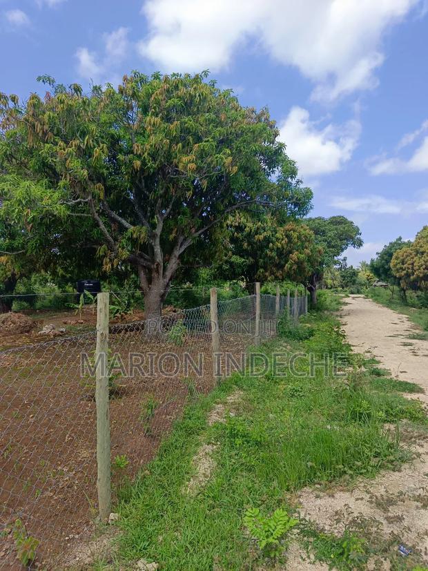 Malindi Kizingo Prime 50*100ft Plots for Sale