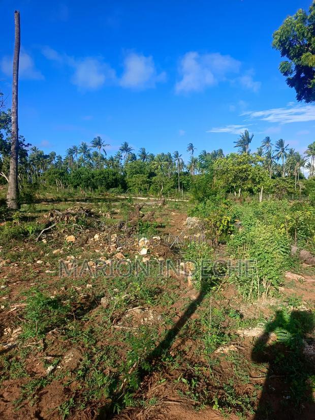 Own Prime 50*100 Plots for Sale in Kilifi