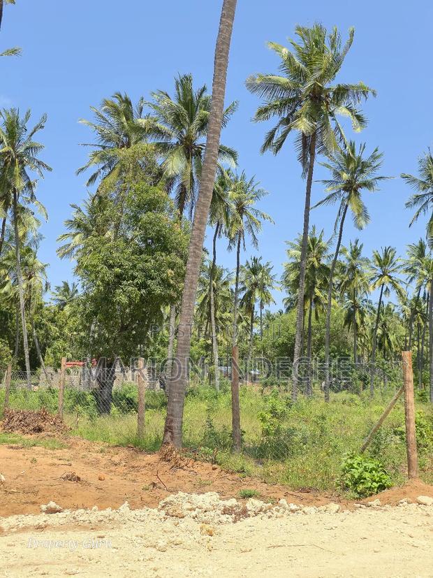 Prime 50by100ft Plots for Sale Located 1km From the Beach
