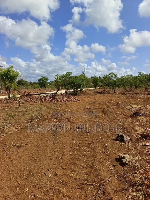Rafiki 4 Extension 50x100ft Prime Plots for Sale!