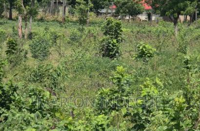 Prime 50by100ft Plots for Sale in ,000