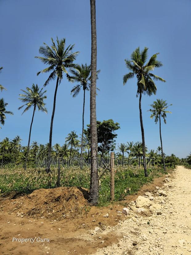 Prime 50by100ft Plots for Sale Located 1km From the Beach