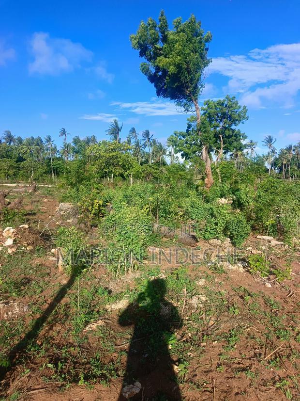 Own Prime 50*100 Plots for Sale in Kilifi