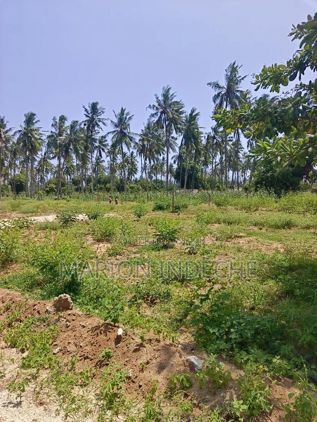 50*100ft Plots for Sale in Kilifi Tezo