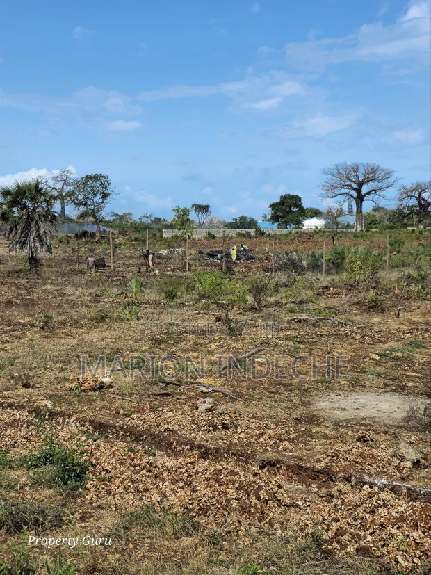 Own a Piece of Diani-Galu Prime 50by100ft