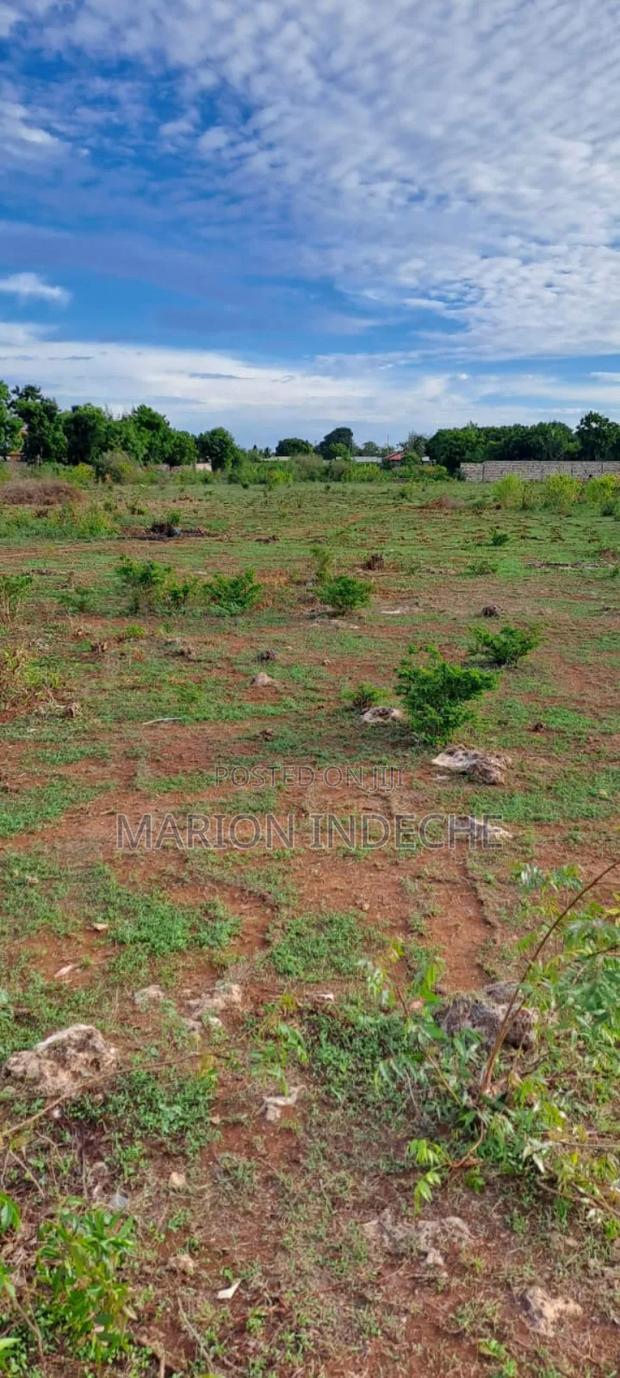 Bofa Beach Plots Sale