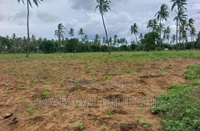 Prime Acre Land for Sale in Kilifi Tezo