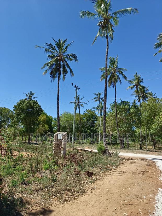 100*100 Plots With Ready Title Deed for Sale in Kilifi
