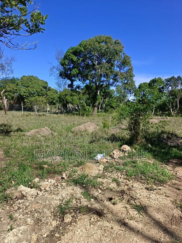 Prime 50*100ft Plots for Sale in Mtwapa