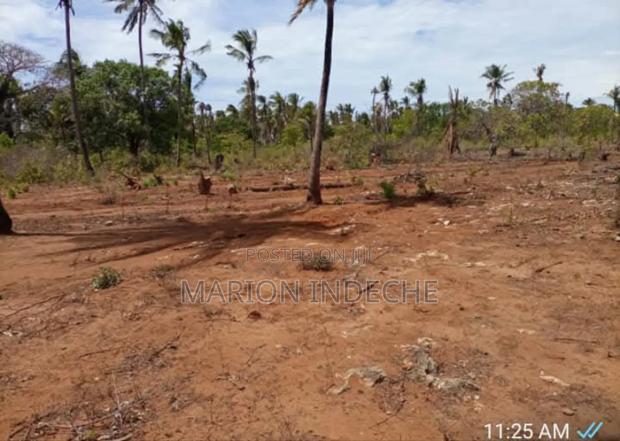 Prime 50*100ft Plots for Sale in Kilifi Tezo