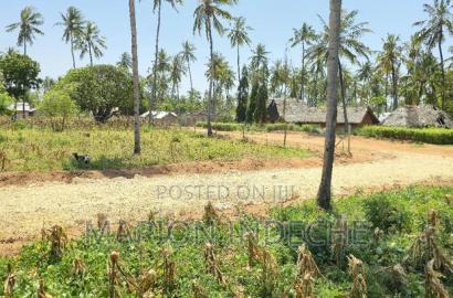 Prime 50by100ft Plots for Sale Located 1km From the Beach