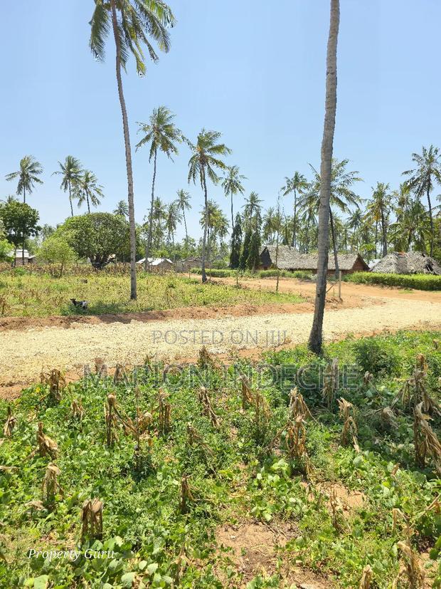 Prime 50by100ft Plots for Sale Located 1km From the Beach