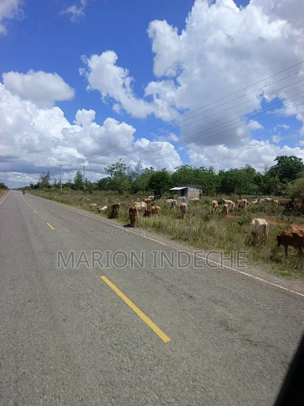 Own Land Affordable Farm Land in Malindi~Chakama