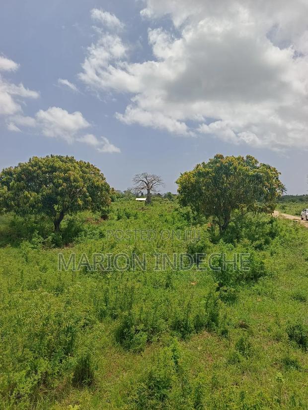 Malindi Kizingo Prime 50*100ft Plots for Sale