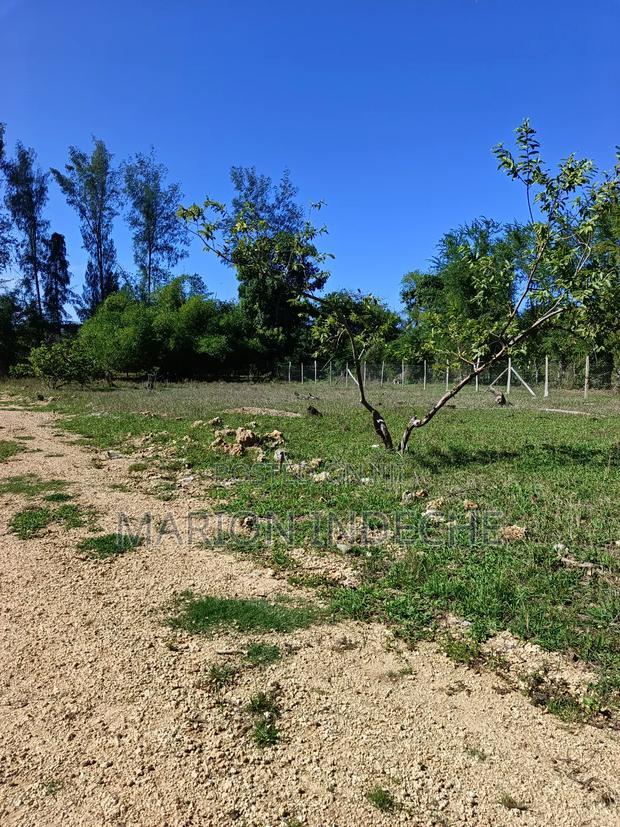 Prime Residential Plots for Sale in Mtwapa