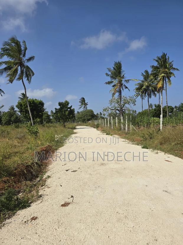 Prime Plots for Sale in Chumani (1/8th Acre)