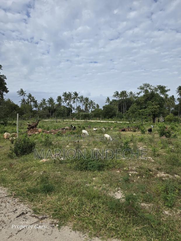 Kilifi Tezo Prime 50by100ft Plots for Sale