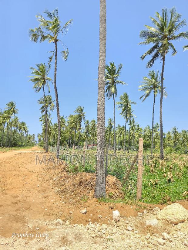 Prime 50by100ft Plots for Sale Located 1km From the Beach