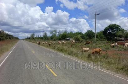 Own Land Affordable Farm Land in Malindi~Chakama