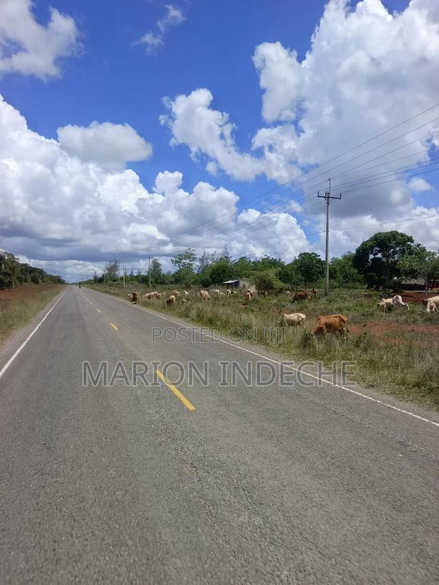 Own Land Affordable Farm Land in Malindi~Chakama