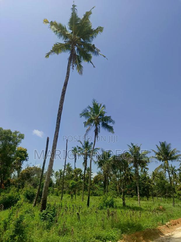 100*100 Plots With Ready Title Deed for Sale in Kilifi