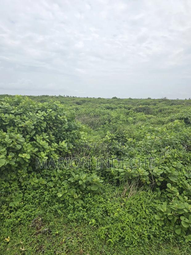 4 Acres Touching the Beach in Kilifi Chumani