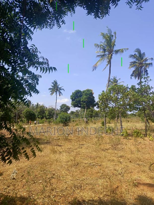 Invest in These 50*100ft Prime Plots for Sale in Kilifi