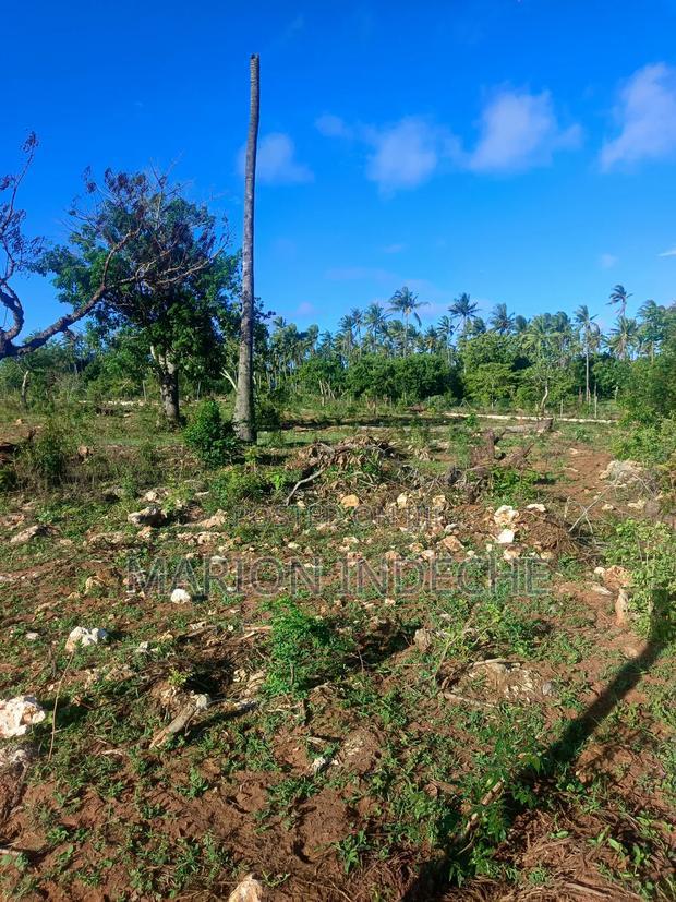 Own Prime 50*100 Plots for Sale in Kilifi