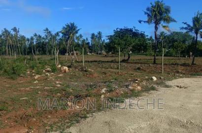 Own Prime 50*100 Plots for Sale in Kilifi