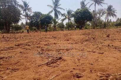 Prime 50*100ft Plots for Sale in Kilifi Tezo