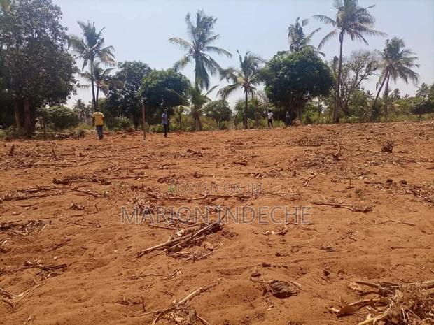 Prime 50*100ft Plots for Sale in Kilifi Tezo