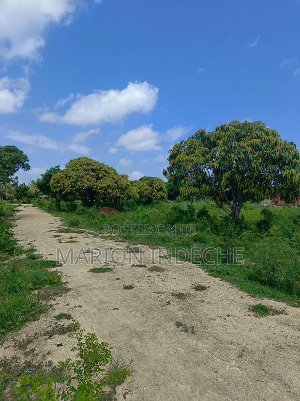 Malindi Kizingo Prime 50*100ft Plots for Sale