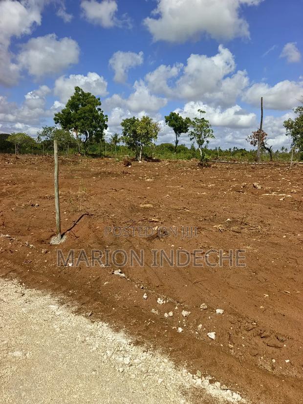 Rafiki 4 Extension 50x100ft Prime Plots for Sale!