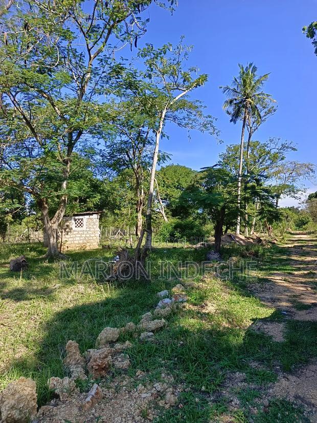 Prime 50*100ft Plots for Sale in Mtwapa