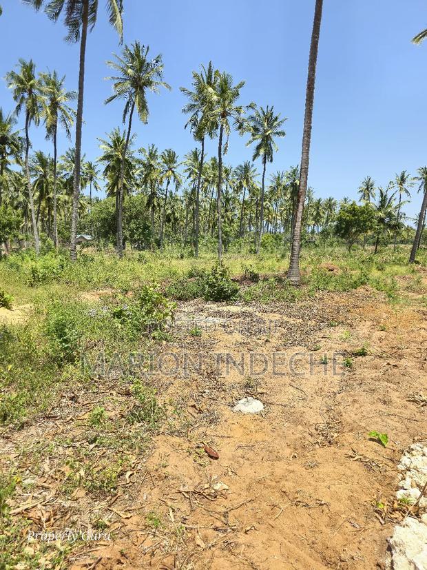 Prime 50by100ft Plots for Sale Located 1km From the Beach
