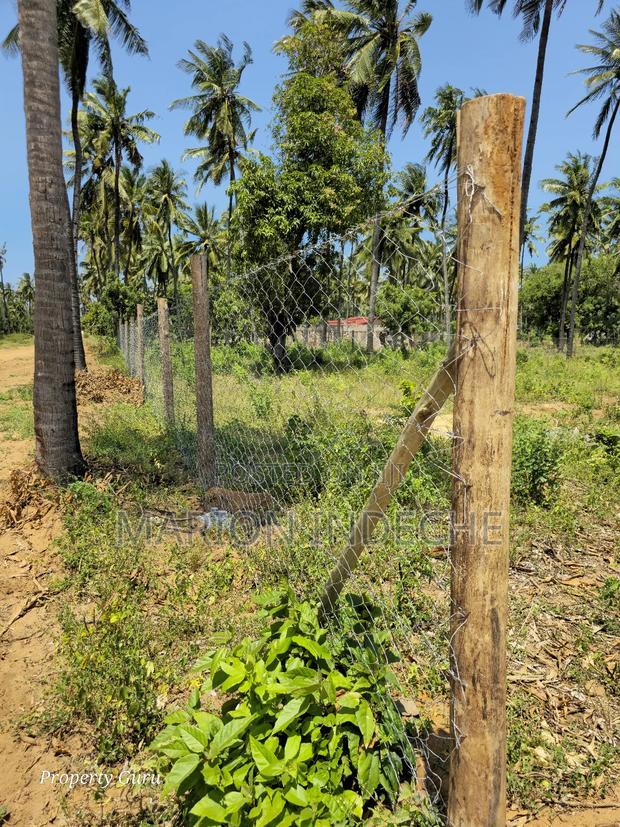 Prime 50by100ft Plots for Sale Located 1km From the Beach