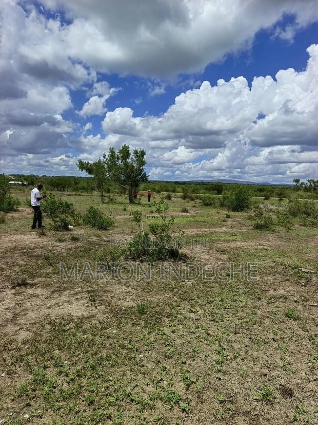 Own Land Affordable Farm Land in Malindi~Chakama