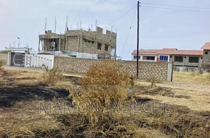 Prime 40x80ft Plots for Sale in Bamburi (Lai)