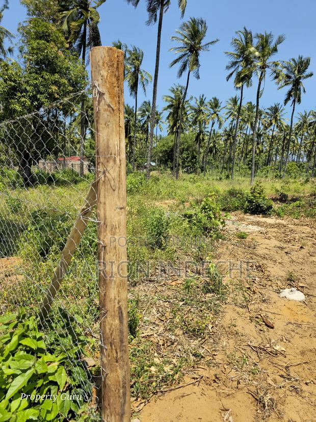 Prime 50by100ft Plots for Sale Located 1km From the Beach