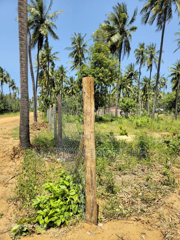 Prime 50by100ft Plots for Sale Located 1km From the Beach
