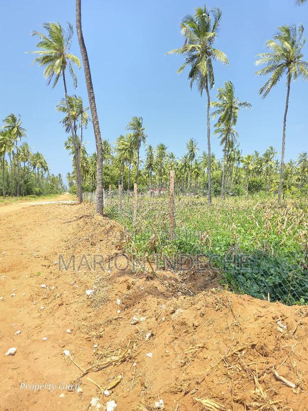 Prime 50by100ft Plots for Sale Located 1km From the Beach