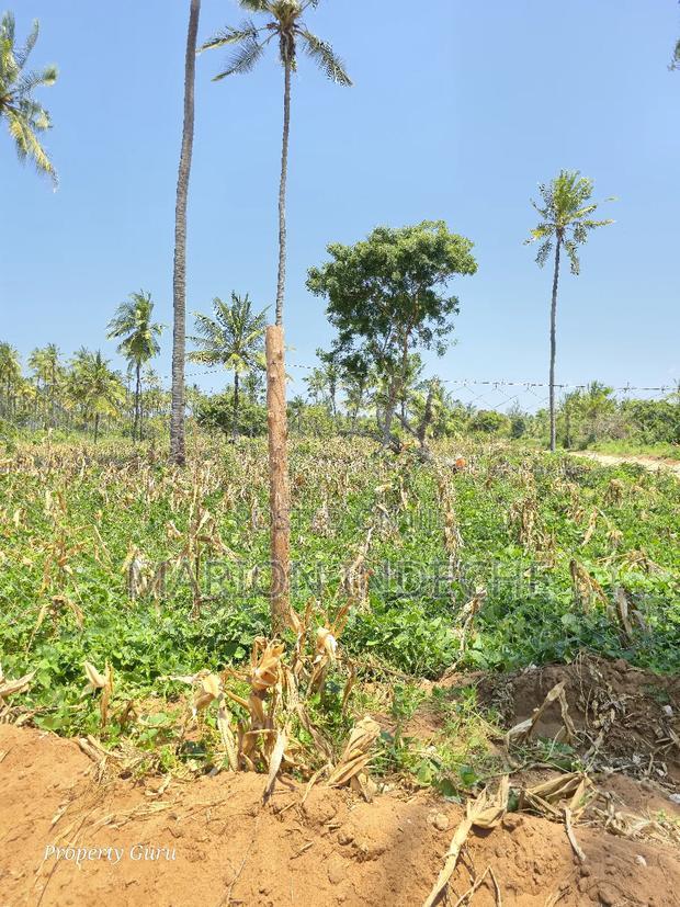 Prime 50by100ft Plots for Sale Located 1km From the Beach