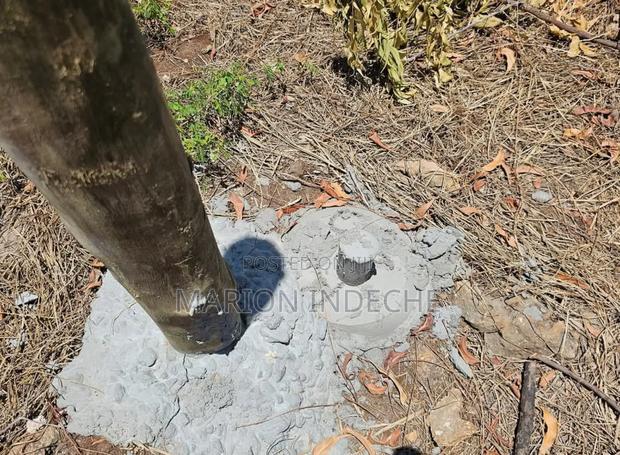 Malindi Kizingo Prime 50*100ft Plots for Sale