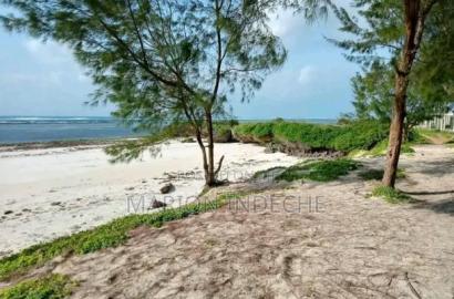 Prime 4 Acre First Row Beach Plots for Sale