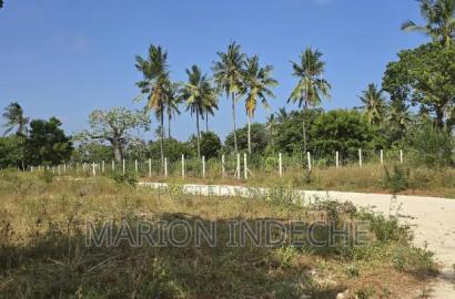 Prime Plots for Sale in Chumani (1/8th Acre)
